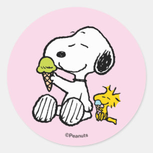 Snoopy & Woodstock Glasskottor Runt Klistermärke