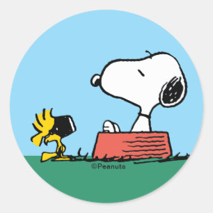 Snoopy & Woodstock sommar swimming Runt Klistermärke