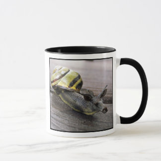 Snoose "ny" mugg
