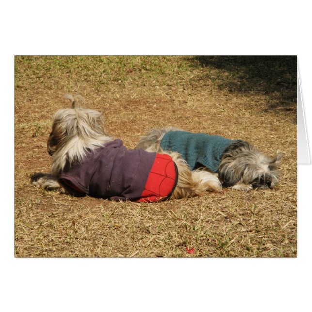 Snoosing in Nong Khai Hälsningskort (Framsidan Horizontal)