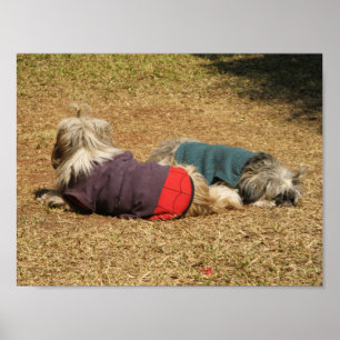 Snoosing in Nong Khai Poster