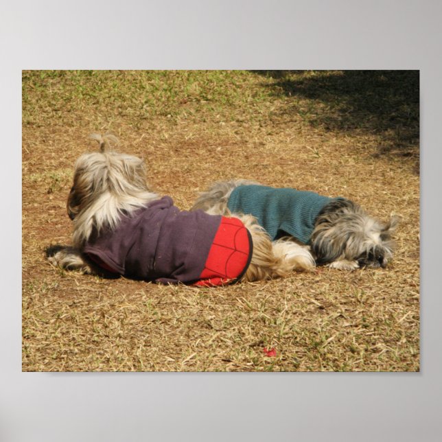 Snoosing in Nong Khai Poster (Framsidan)