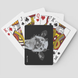 Snoot Klapp, Djur Casinokort
