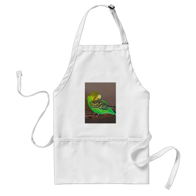 Snoozing Budgie Apron Förkläde (Framsidan)