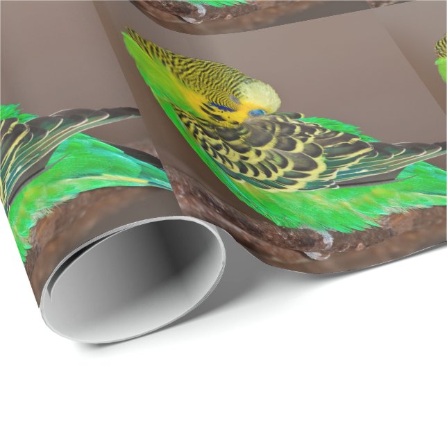 Snoozing Budgie Wrapping Papper Presentpapper (Rullad Hörn)