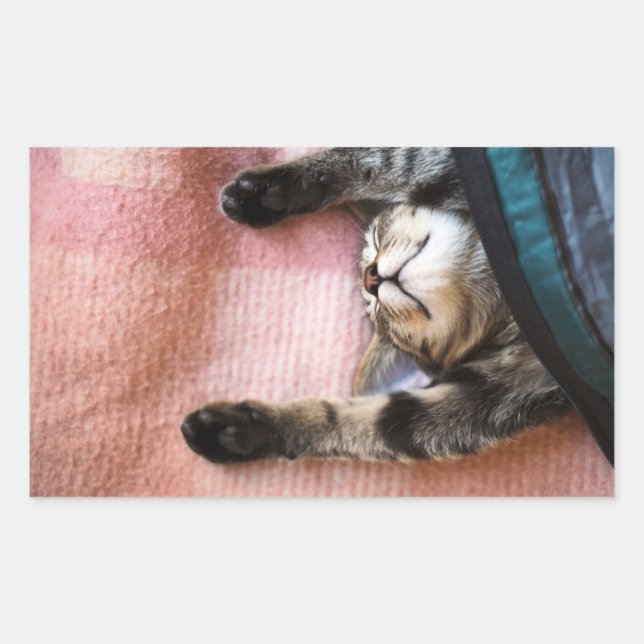 Snoozing Kitten Rektangulärt Klistermärke (Framsida)