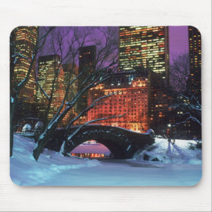 Snöplatsen i den Central Park musen vadderar Musmatta