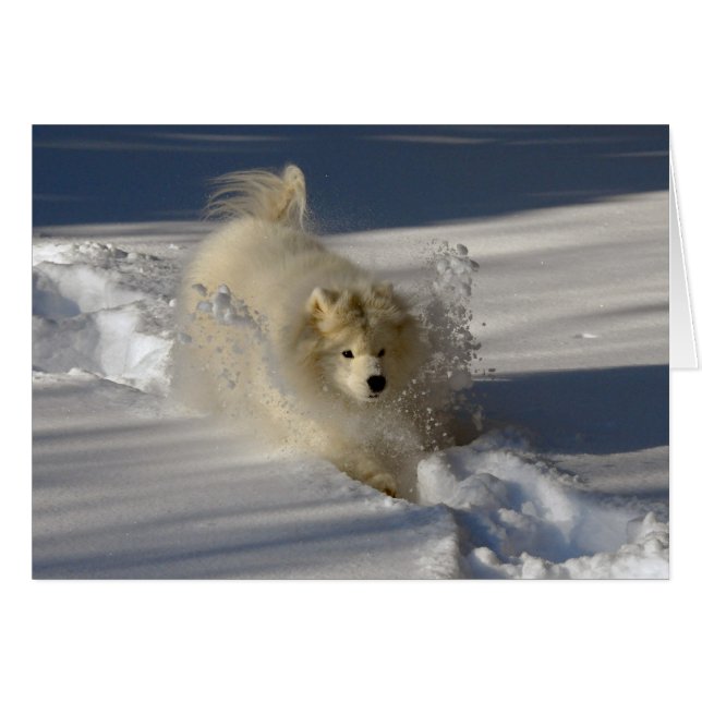 Snöplog - tomt kort (Framsidan Horizontal)