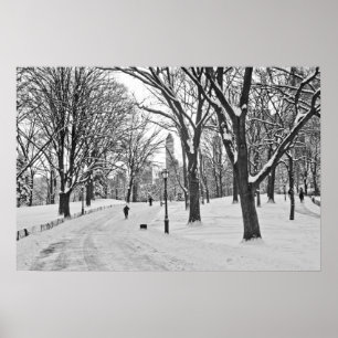 Snöpromenad i Central Park Poster