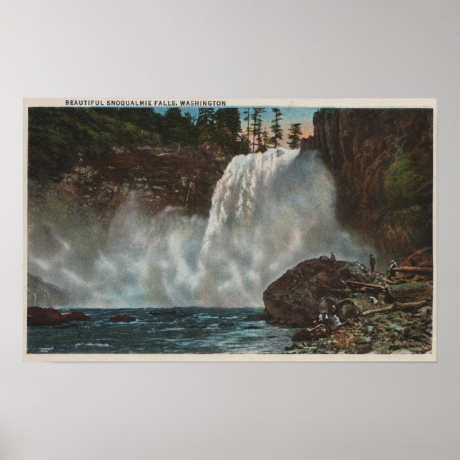 Snoqualmie Falls, WA - View Falls at Grund Poster (Framsidan)