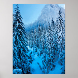 Snoqualmie Pass, delstaten Washington. Poster