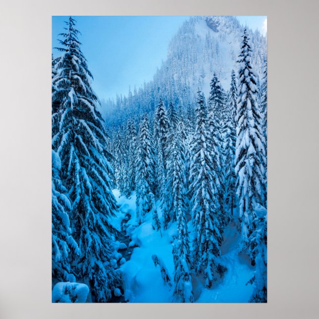 Snoqualmie Pass, delstaten Washington. Poster (Framsidan)