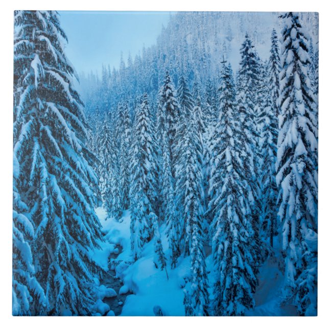 Snoqualmie Pass, Washington State. Kakelplatta (Framsidan)