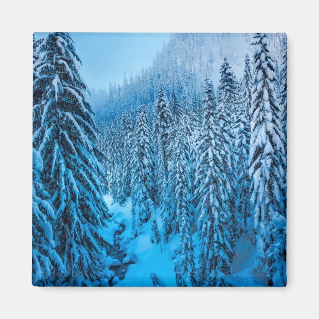 Snoqualmie Pass, Washington State. Magnet (Framsidan)