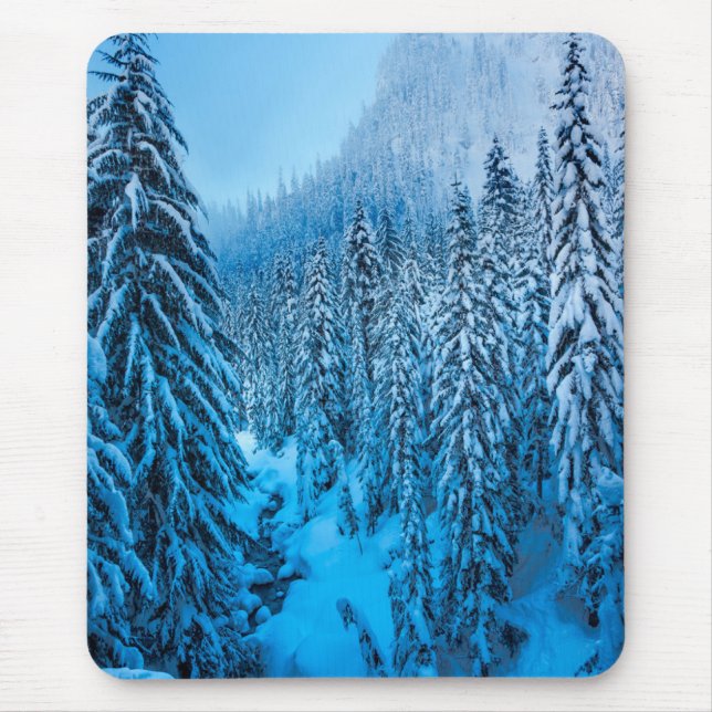 Snoqualmie Pass, Washington State. Musmatta (Framsidan)