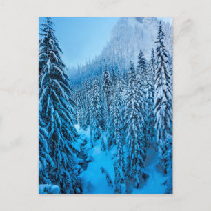 Snoqualmie Pass, Washington State. Vykort