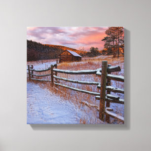 Snöranch Canvastryck