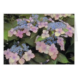 Snöre Cap Hydrangea Hälsningskort