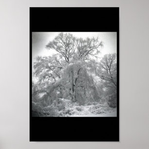 snöre poster