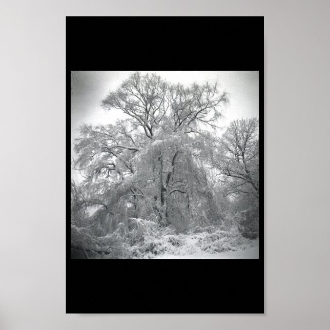 snöre poster (Framsidan)