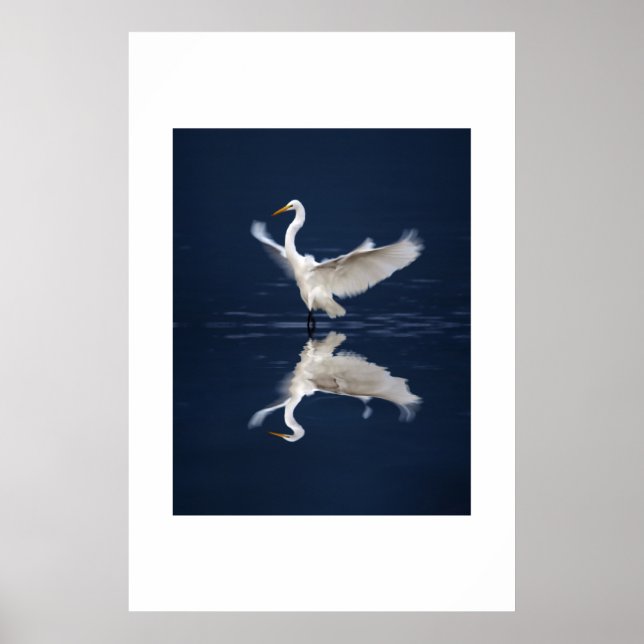 Snöre Vingar på Blue Poster (Framsidan)