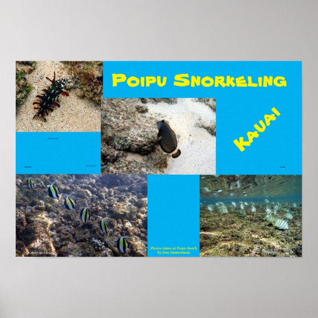 Snorkel Poipu Poster (Framsidan)