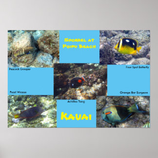 Snorkel vid Poipu Beach Poster