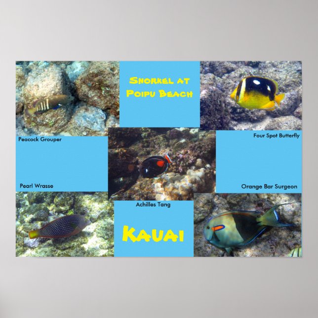 Snorkel vid Poipu Beach Poster (Framsidan)