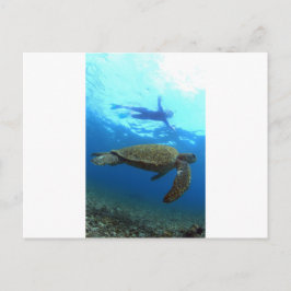Snorkelbruk med havsköldpadda Galapagosöarna Vykort