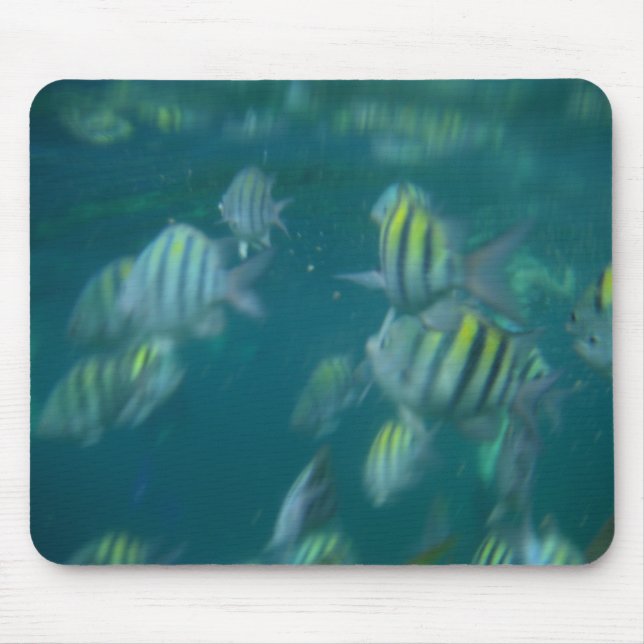 snorkeling mousepad musmatta (Framsidan)