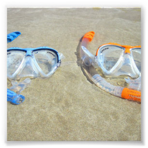 Snorkeling Pair Fototryck