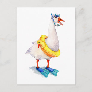 Snorkeling White Goose Vykort