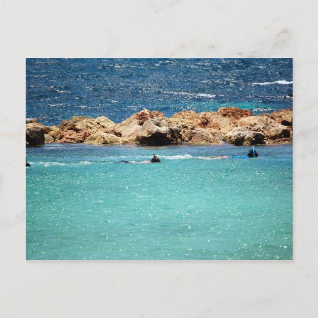 snorkeln i det karibiska vykortet vykort (Framsida)