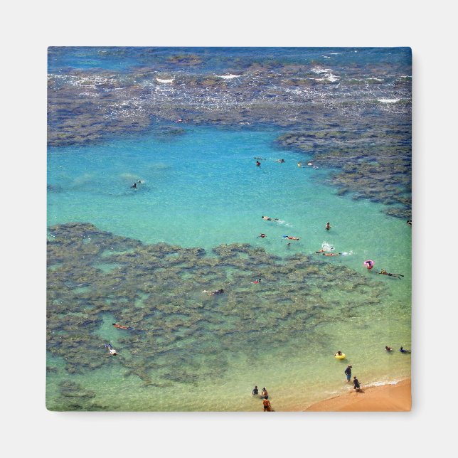 Snorklers at Hanauma Bay, Oahu, Hawaii Magnet (Framsidan)