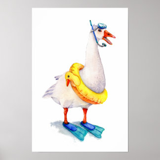 Snorkling Vit Gås Poster
