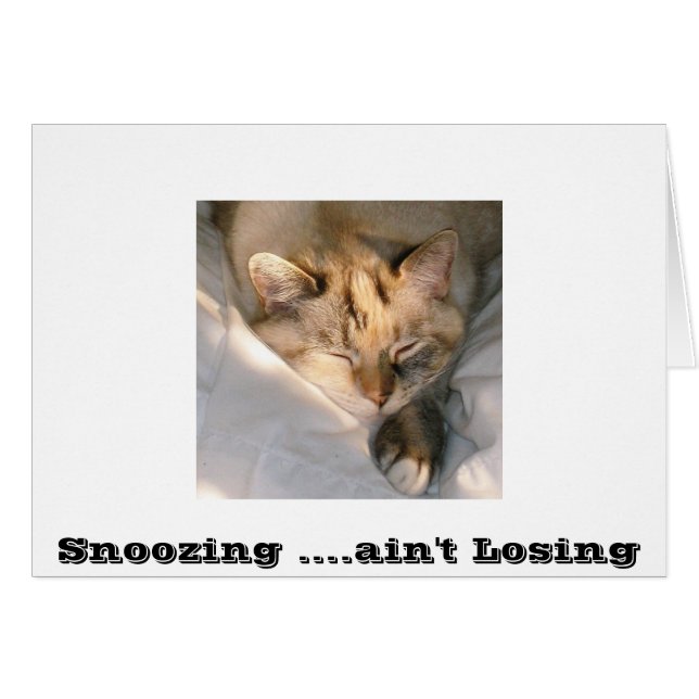 Snosar ...förlorar inte OBS kort (Framsidan Horizontal)