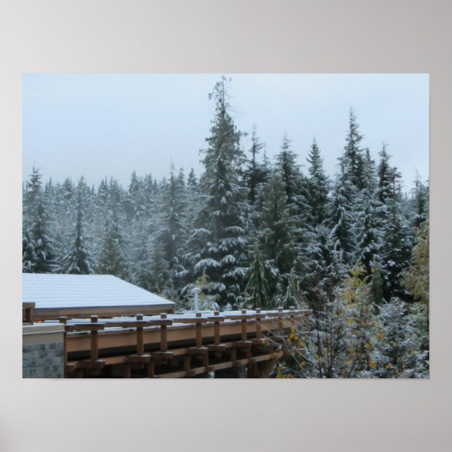 Snöscen i Whistler, B.C. Poster (Framsidan)