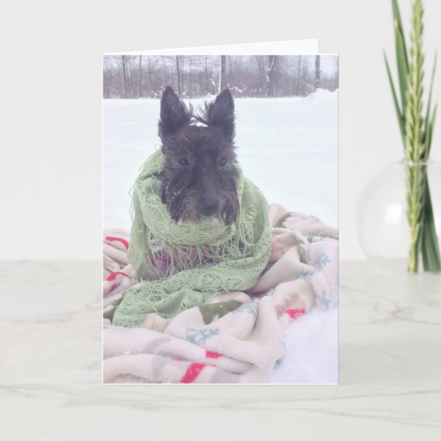 SnöScottie Kort (Framsida)