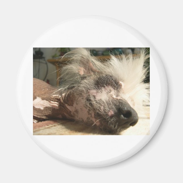 snosera magnet (Framsidan)