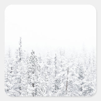 Snöskog Fyrkantigt Klistermärke