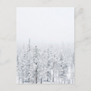 Snöskog Vykort