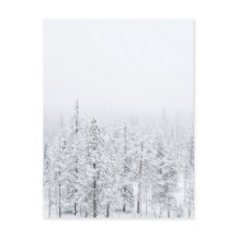 Snöskog