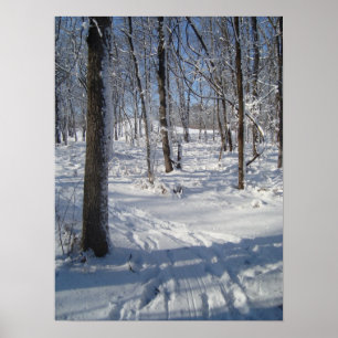Snöskogen Poster
