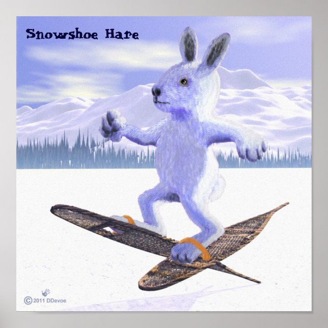 Snöskohare Poster (Framsidan)