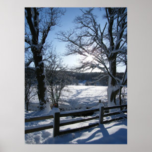 Snöslinga Poster