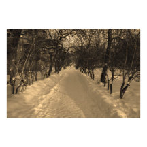 Snöspår med träd i sepia
