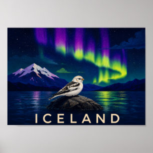 Snösparv Aurora Island Vägkonsttryck Poster