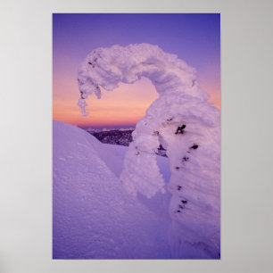 Snöspöket i Whitefish Range i Twilight Poster