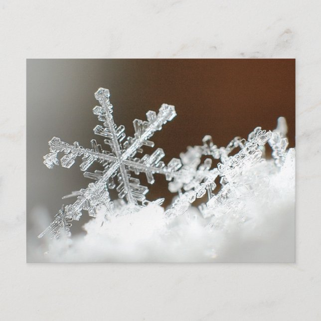 Snöstorm 2009 vykort (Framsida)