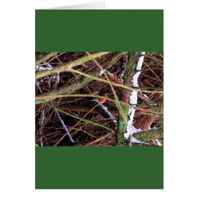 Snöstorm Bird CB Hälsningskort (Framsidan)